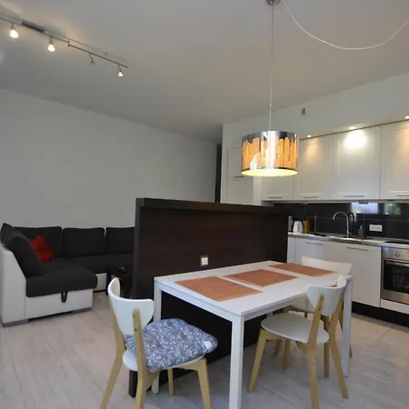 Apartament Bursztynowy Z Garazem -Centrum Gliwic Gliwice Exterior photo